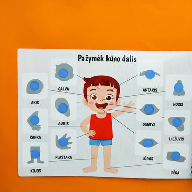Mano trečia lavinamoji veiklos knyga su daugkartinio naudojimo lipdukais
