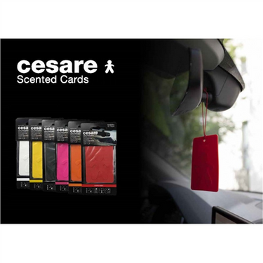 Mr&Mrs CESARE Cedar Wood