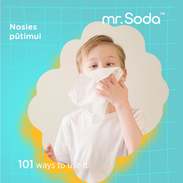 UNIVERSALIOS DRĖGNOS SERVETĖLĖS MR.SODA, 80 vnt