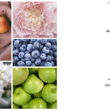 REUSED žvakė EKSTRAVAGANTIŠKAS NEROLI