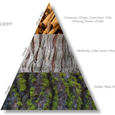 REUSED žvakė SAMANOJANTIS MIŠKAS